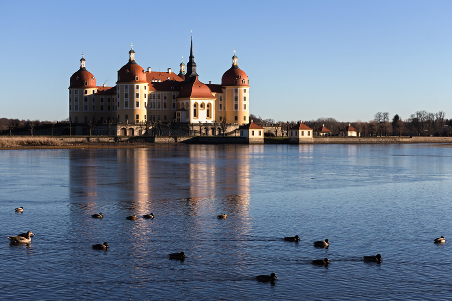 Schloss Moritzburg