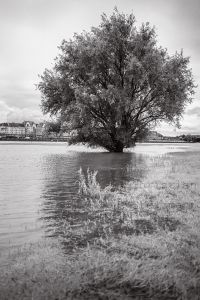 Wet Feed / Nasse Füße